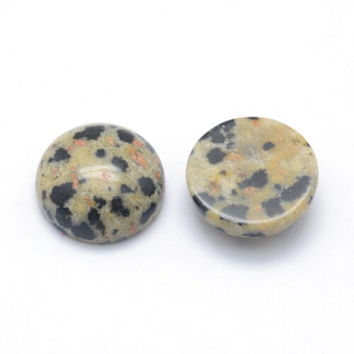 Cabochon rond en pierre naturelle jaspe dalmatien 12mm cabochon en jaspe dalmatien vendu à l'unité