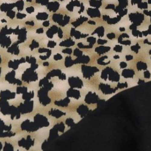 Snood pour chien imperméable automne hiver