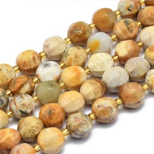 Perle facette corail, corail fossile, pierre naturelle, ambrée, bijoux, ethnique, chakra,