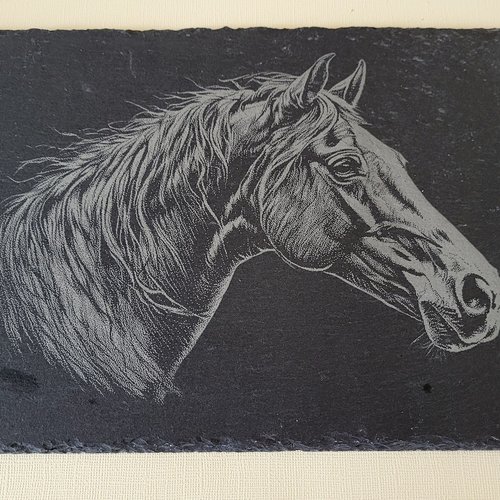 Assiette en ardoise " cheval "