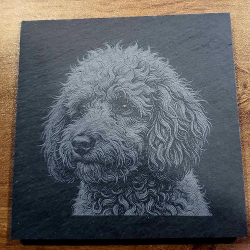 Sous bocks ardoise " caniche"