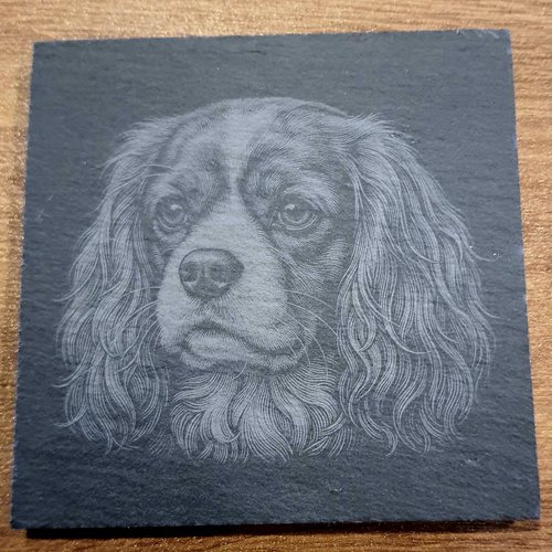 Sous bocks ardoise " cavalier king charles"