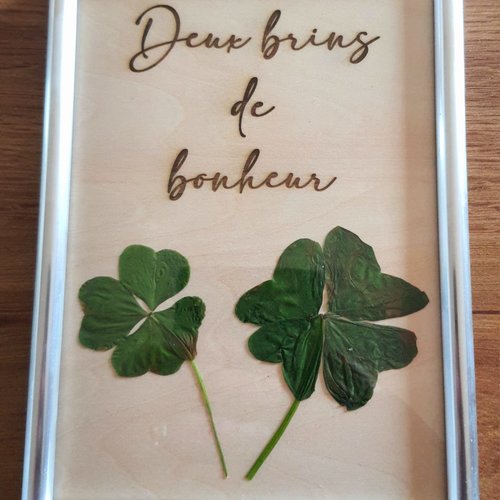 Cadre "porte bonheur" avec trefles a 4 feuilles véritables
