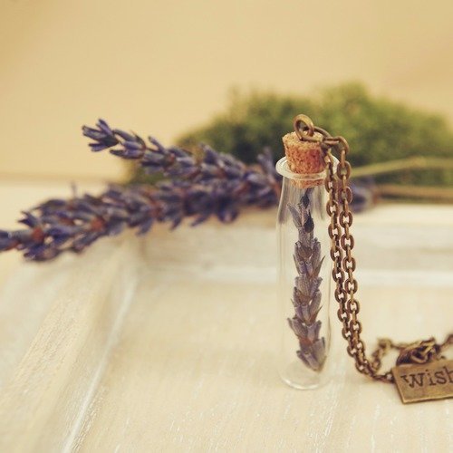 Fleur de lavande collier  bouteille bijoux fleur de lavande pendentif fleur pourpre plants  séchées collier de vraies