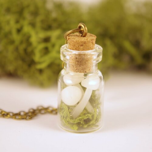 Collier avec de la mousse collier avec des champignons collier terrarium terrarium bois bouteille de verre