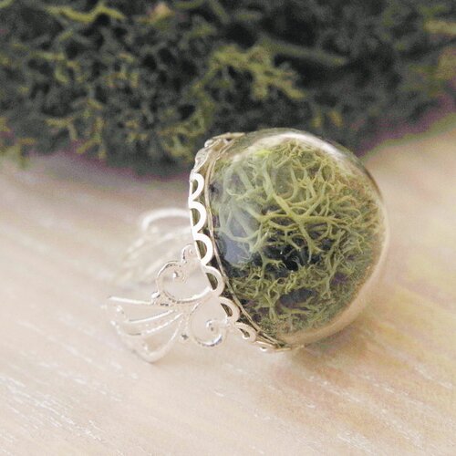 Mousse naturelle anneau terrarium bijoux vraie plante  forêt bijoux mousse verte  idée botanique cadeau pour elle
