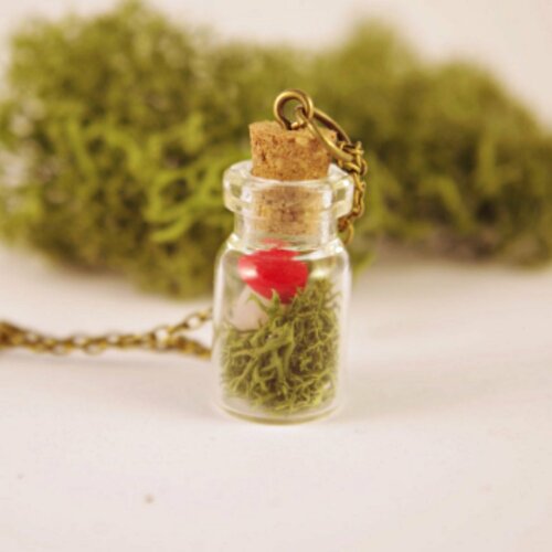 Mousse verte collier avec un cœur collier avec un terrarium bouteille en verre vraie mousse