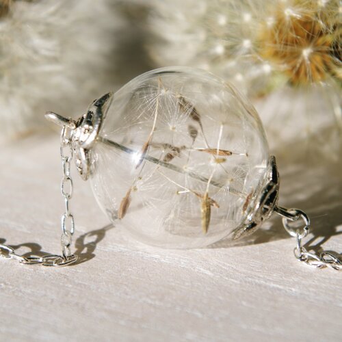 Collier de graines de véritable pissenlit bijoux terrarium collier long cadeau d'anniversaire pour les femmes bijoux botaniques 