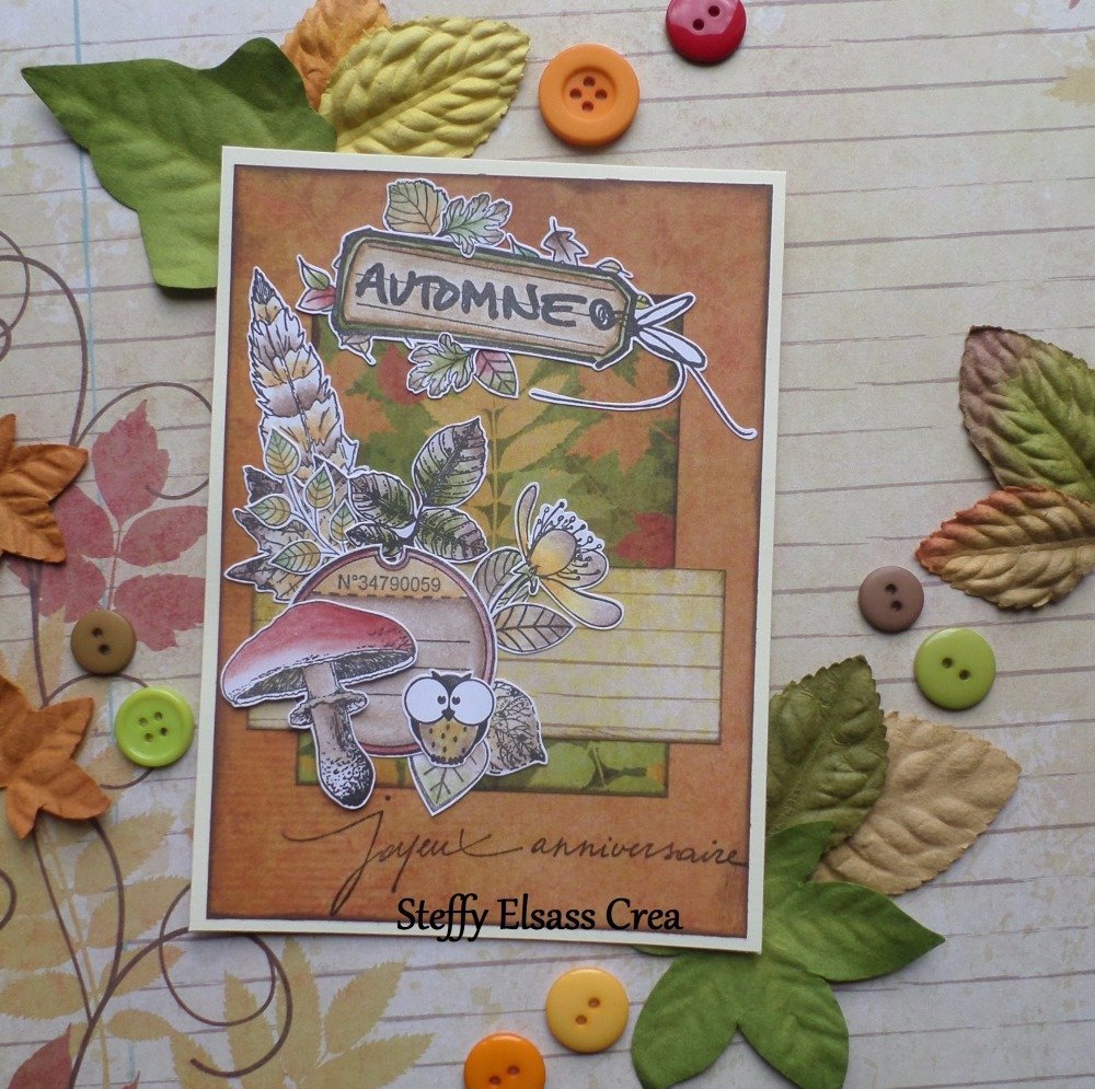 Carte saison automne joyeux  anniversaire  champignon hibou 