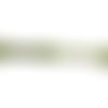 Fil dmc n°3364, mouliné spécial, échevette de coton vert clair, à broder . 
