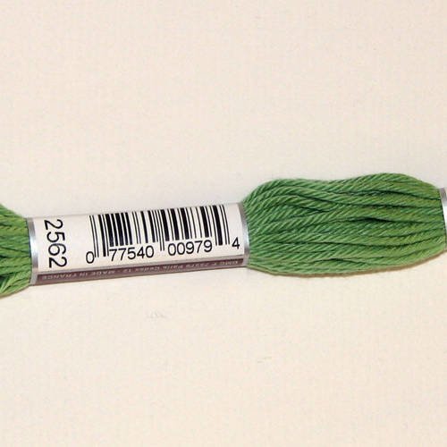 Dmc n°2562, échevette de coton vert pour tapisserie et canevas