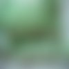 1,30 m d'un beau galon de passementerie couleur vert pale