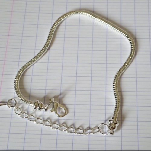 Bracelet pour  style pandora