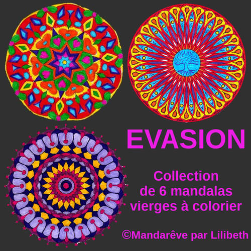 Mandalas Originaux à Colorier Collection Evasion Composée De Six Grands Modèles Vierges Pour Lart Thérapie