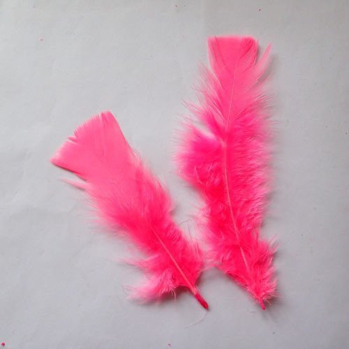 Plumes rose fluo x 11