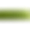 Ruban vert anis à pois noirs 25 mm x 3 m