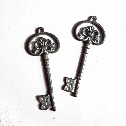 Breloques clefs argentées mat x 5