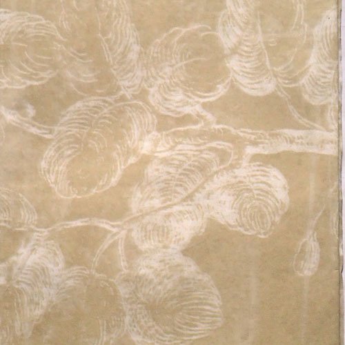 Papier de soie fleurs kaki 26 x 37,5 cm