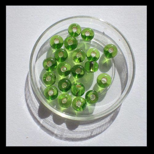 Perles indiennes vert anis x 50