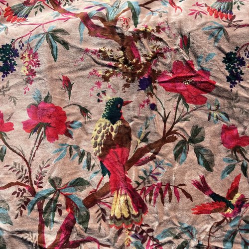 Velours de coton lisse, fond beige gris, motifs style jungle, oiseau de paradis, velours très souple