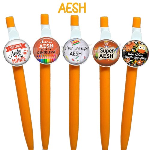 Stylo aesh, cabochon aesh, cadeau pour fin d'année scolaire