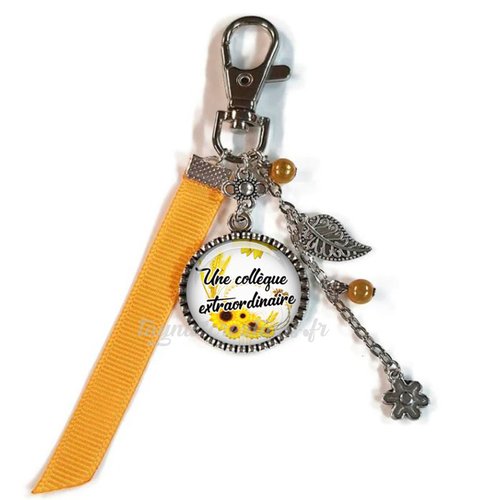 Porte clés collègue extraordinaire, cadeau pour une collègue