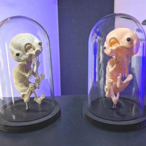 Le chérubin, foetus difforme pour cabinet de curiosités