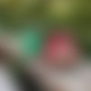 Potion rouge et verte