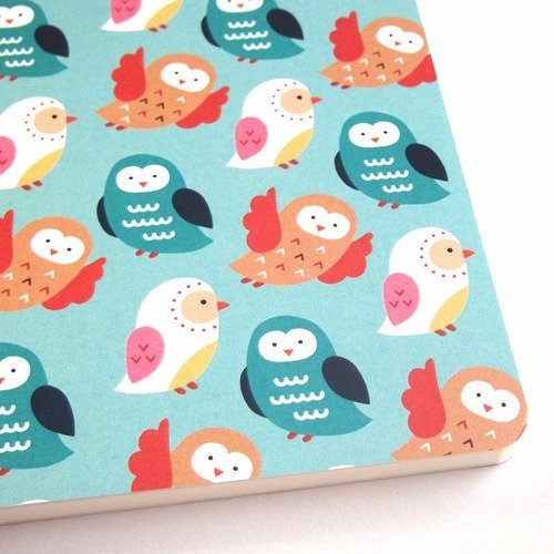 Petit carnet a6 coloré - motif : chouettes
