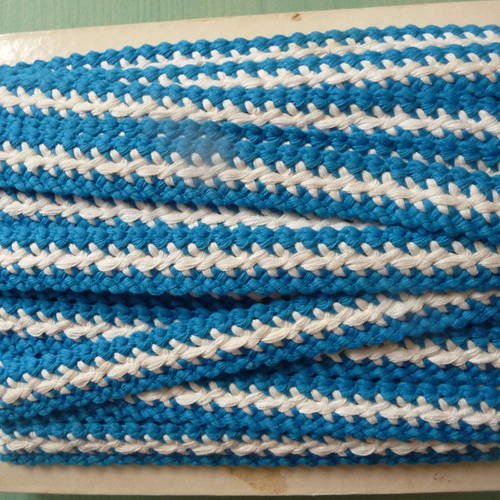 3 m de galon ancien passementerie bicolore bleu et blanc 