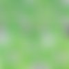 Coupon tissu 50x80 cm tropical