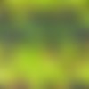 Coupon tissu tropical 50x72 cm