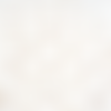 Tissu coton danseuses ballerine 50x80m