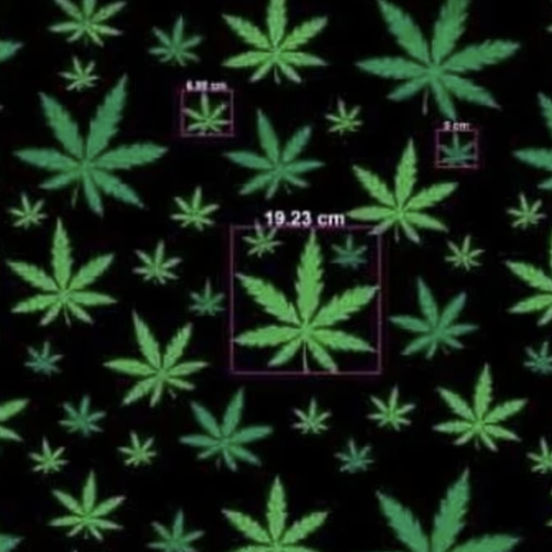 Tissu coton cannabis 50x80 cm