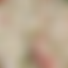 Tissu coton grandes fleurs  50x80 cm
