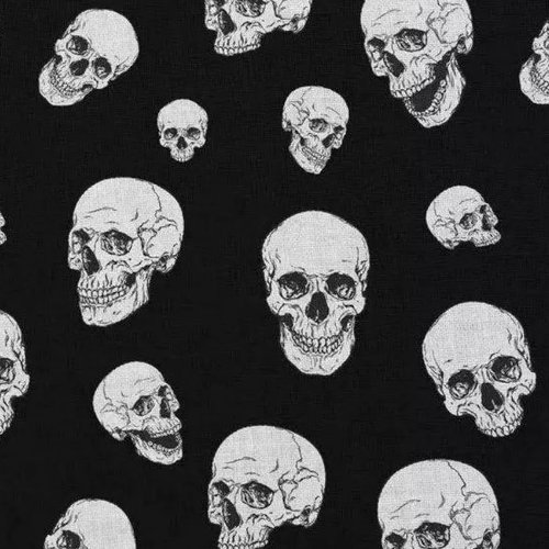 Tissu têtes de mort noir et blanc 50x70cm