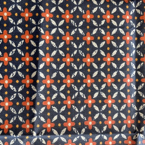 Tissu enduit graphique 51x77 cm