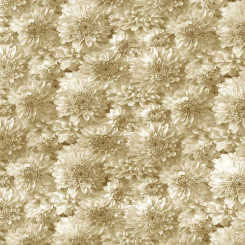 Tissu fleurs dahlias beige 50x80 cm