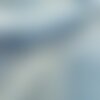 Tissu coton imprimé bio/gots - caelum ciel/blanc x1m