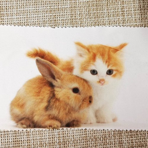 Lingette microfibre - lapin et chaton