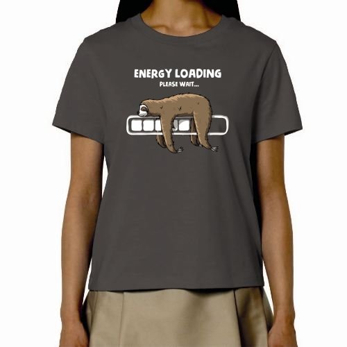 Paresseux fatigué - t-shirt en coton bio - energie en charge
