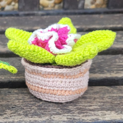 Plante déco au crochet