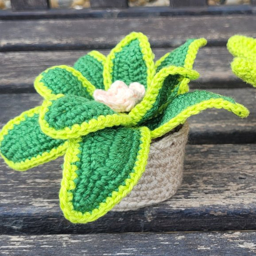 Plante déco au crochet