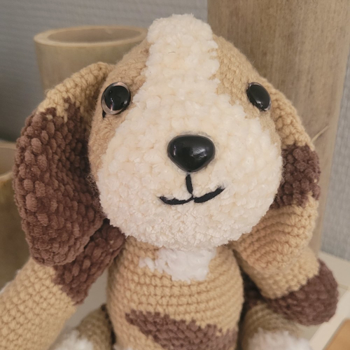 Petit chien tout doux
