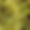 30 perles en verre craquelé - 4 mm - jaune citron - perles craquelées - rondes (pcv04jc)