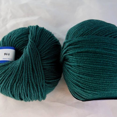 2 pelotes pure laine mérinos bimbo wool vert impérial 116 filati tre sfere
