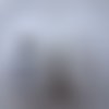2 grosses pelotes  angora blanc 1000 papatya