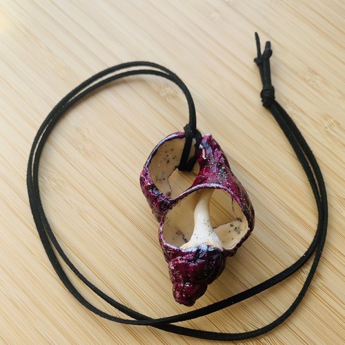 Collier coquillage