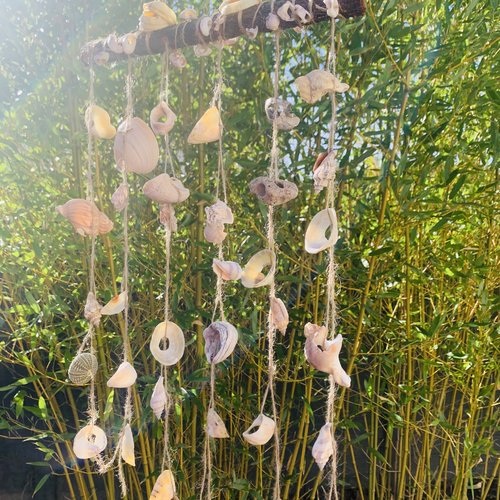 Carillon de coquillages