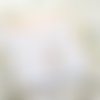 Paire de bracelets pour une mère et sa fille, breloques en forme de plumes sur un cordon réglable, carte imprimée